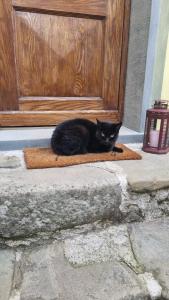 Domáce zviera alebo zvieratá hostí v ubytovaní La Casa Di Edy