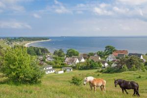 two horses grazing on a grassy hill near the ocean at strandnah mit Balkon, gratis Nutzung vom AHOI Erlebnisbad und Sauna in Sellin - Strandhaus Mönchgut FeWo16 in Lobbe