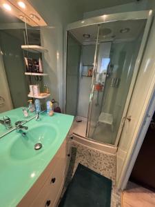 Koupelna v ubytování Appartement