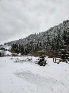 Το Cabană în inima munților - Gálkuti Kulcsosház τον χειμώνα