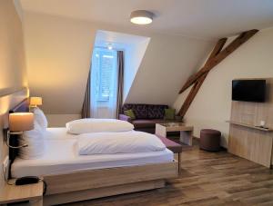 TV a/nebo společenská místnost v ubytování Hotel Rössle