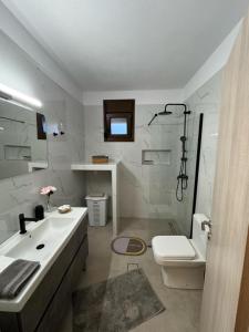 Un baño con lavabo, inodoro y ducha. en The root loft Trikala, en Tríkala