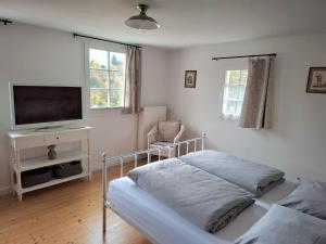 a bedroom with a bed and a flat screen tv at Stachelburg in Monschau