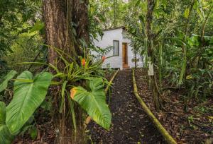 a house in the middle of a forest at Pacoche Lodge in Pacoche