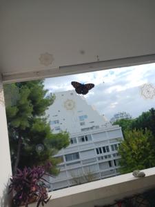 Fotografie z fotogalerie ubytování CHEZ FLO ET NANO v destinaci La Grande-Motte