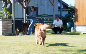 Domácí mazlíčci ubytovaní s hosty v ubytování ワンちゃんと泊まれるコテージ　西野納屋
