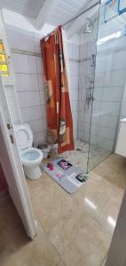 Koupelna v ubytování les gîtes de la belle fleur bungalow TULIPE