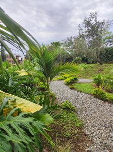 un chemin de gravier dans un jardin avec un palmier dans l'établissement Apartamento eje cafetero Parque del cafe, à La Tebaida 32 autres photos