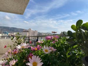 Pemandangan gunung umum atau pemandangan gunung yang diambil dari apartmen