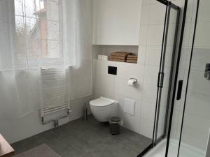 a white bathroom with a toilet and a shower at City Center Szczytno in Szczytno