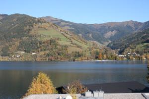 Paesaggio naturale nelle vicinanze dell'appartamento