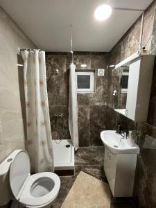Koupelna v ubytování Apartman KVINS