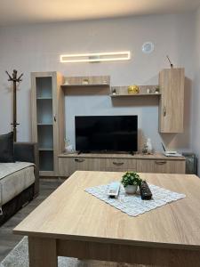 TV a/nebo společenská místnost v ubytování Apartman KVINS