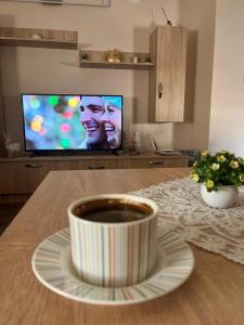 TV a/nebo společenská místnost v ubytování Apartman KVINS