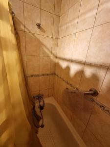 Koupelna v ubytování Cómodo apartamento entero en Pucón