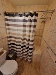 Koupelna v ubytování Cómodo apartamento entero en Pucón