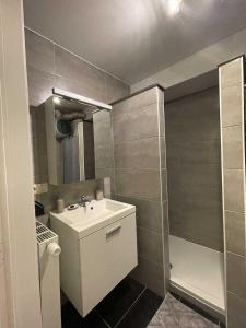 ein kleines Badezimmer mit Waschbecken und Dusche in der Unterkunft Zeegidss in Ostende + 14 Fotos