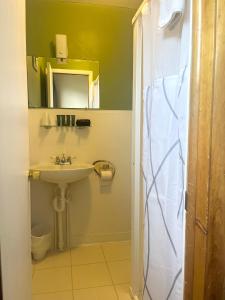 un baño con lavabo y ducha en Sportsmen Motel, en Jordan 20 fotos más