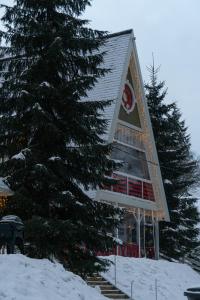 Двоповерховий апартамент у котеджі Freeman-4b з альтанкою та грилем v zimě + 45 fotografií