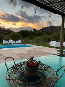 a plant in a basket on a table near a pool at Salir del Cráter Apart in Chilecito +14 photos