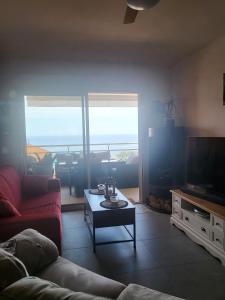 a living room with a couch and a table and a television at Appartement T2 vue sur les sanguinaires in Ajaccio