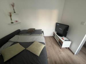 TV a/nebo společenská místnost v ubytování Comfortable accommodation