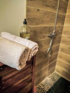 a bathroom with a shower with a bottle on a counter at KazaSunsetCat in Vieux-Habitants +46 photos