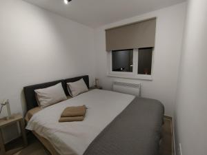 ein Schlafzimmer mit einem großen Bett, auf dem zwei Handtücher liegen in der Unterkunft Silver 1 & SPA in Veliko Gradište + 44 Fotos