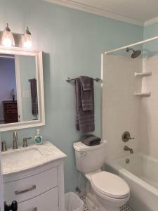 a bathroom with a toilet and a sink and a mirror at Coaches House - 2 miles from Ben Griffin Stadium in Gainesville +13 photos