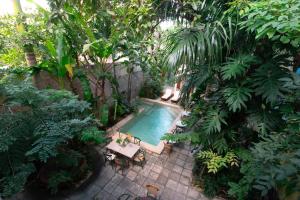 Zahrada ubytování Hotel Poquito a Poquito