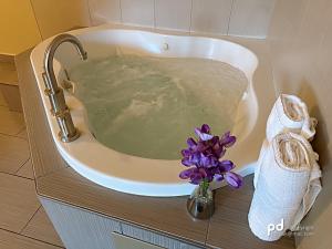 Fotografie z fotogalerie ubytování Travel Inn & Suites Flemington v destinaci Flemington + 37 fotografií