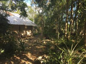 Taman di luar barefoot jungle studios