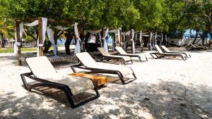 Fotografie z fotogalerie ubytování Hotel Rosario de Mar by Tequendama v destinaci Isla Grande