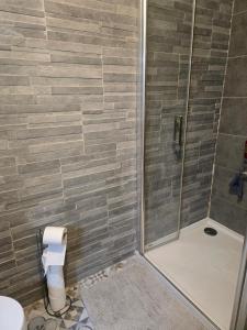 a bathroom with a shower and a toilet at Appartement T2 vue sur les sanguinaires in Ajaccio