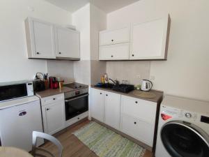 Kuchyň nebo kuchyňský kout v ubytování STRIM Apartment 406 Stream Resort, Pamporovo + 26 fotografií