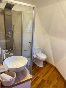 a bathroom with a shower and a sink and a toilet at Colmena EcoGlamping in Angastaco