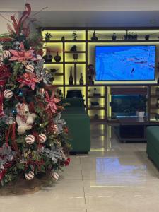 TV a/nebo společenská místnost v ubytování Hotel Imperatriz + 28 fotografií