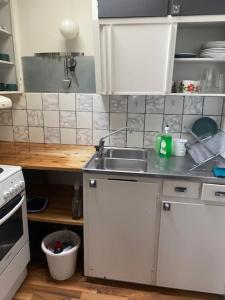 Kuchyň nebo kuchyňský kout v ubytování Vindsvånimg