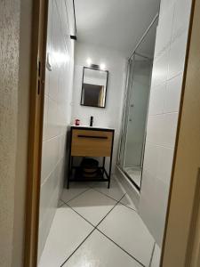 拉努韦勒港Maison de vacances à la mer的带水槽和镜子的小浴室