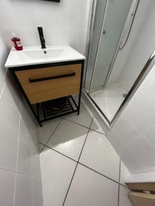 拉努韦勒港Maison de vacances à la mer的带水槽和淋浴的浴室