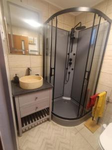 a bathroom with a shower and a sink at Casa La Măriuca in Bran