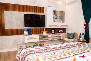 TV a/nebo společenská místnost v ubytování Josephine Apartment