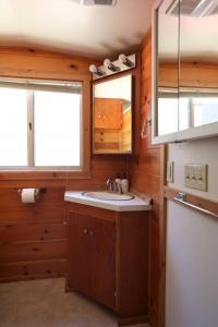 eine kleine Küche mit einem Waschbecken und zwei Fenstern in der Unterkunft Lily Rock Cottage by Roav Retreats in Idyllwild