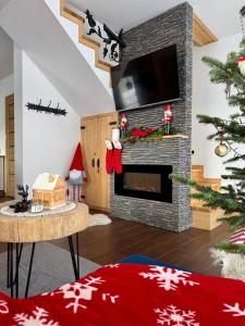 una sala de estar con un árbol de Navidad y una chimenea en Domek Zakopane Tatrzański Kącik APARTZAKOP, en Zakopane