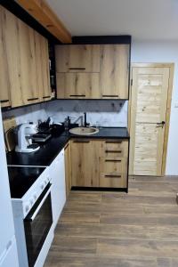 Kuchyň nebo kuchyňský kout v ubytování Gorska vila Vasilija