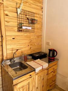 eine Küche mit einem Waschbecken und einer Holzwand in der Unterkunft Cabaña La escondida I in Purmamarca