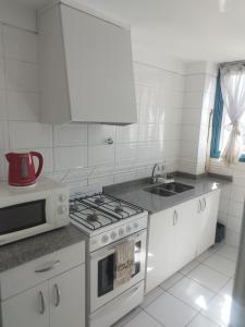 Η κουζίνα ή μικρή κουζίνα στο Mendozinn APARTMENTS