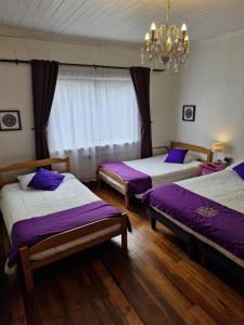 1 dormitorio con 2 camas con sábanas moradas y lámpara de araña en Hostal Arrayan, en Valdivia