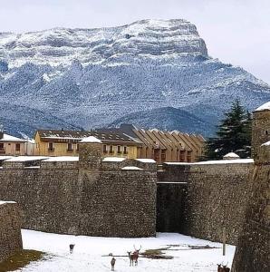 ハカにあるApartamentos 7 Valles Jaca Centroの背景石壁