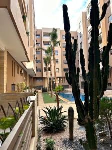 un cactus en el patio de un edificio en Superb apartment in the heart of city with POOL, en Marrakech